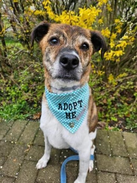 OSKAR -menschenbezogen & unkompliziert-