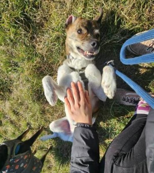 OSKAR -menschenbezogen & unkompliziert-