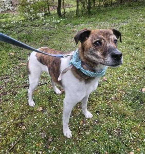 OSKAR -menschenbezogen & unkompliziert-