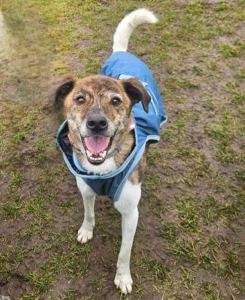 OSKAR -menschenbezogen & unkompliziert-