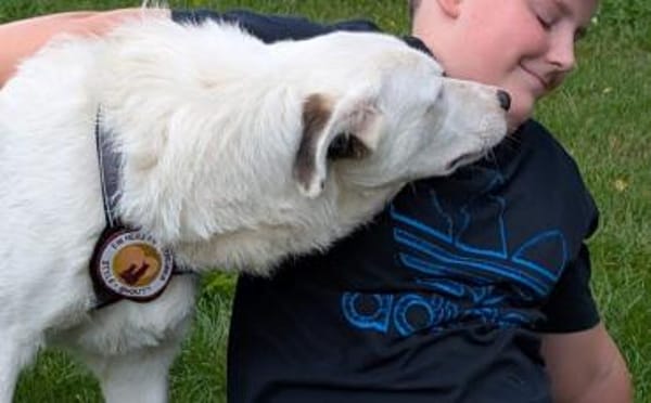 Wer schenkt Tapio ein Zuhause?