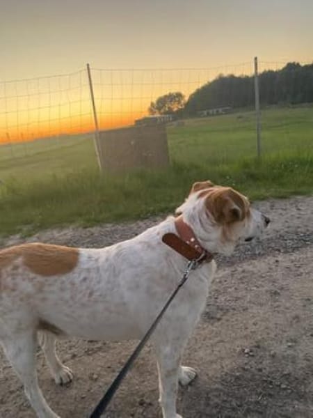 Hallo, ich bin Kalle💙