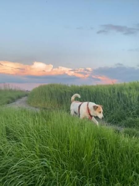 Hallo, ich bin Kalle💙