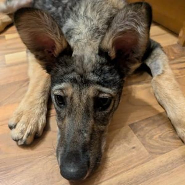 Soocy💕möchte mit dir die Welt entdecken