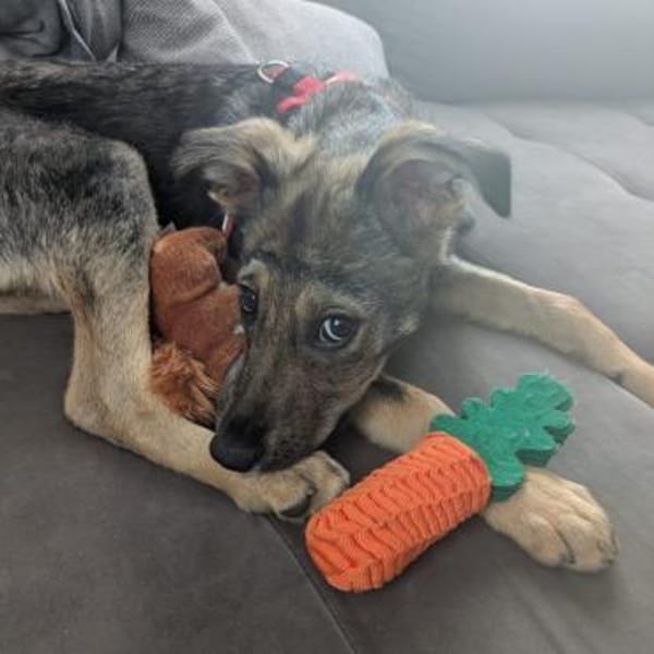 Soocy💕möchte mit dir die Welt entdecken