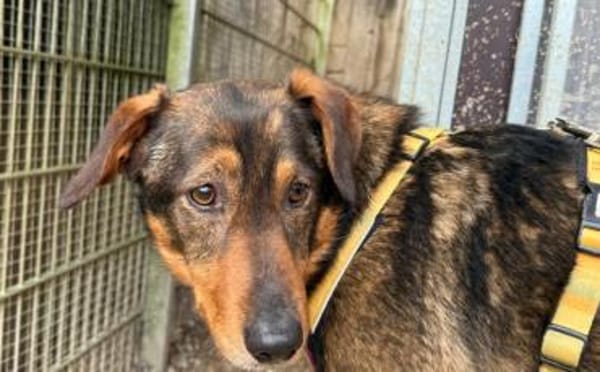 Rocket möchte in seine Zukunft starten!