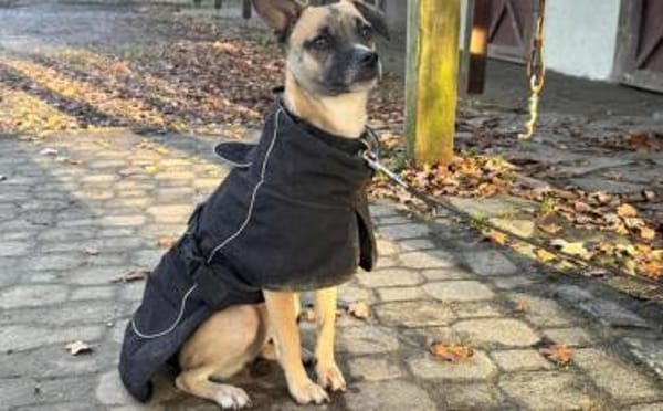 Payton sucht ihr perfect match