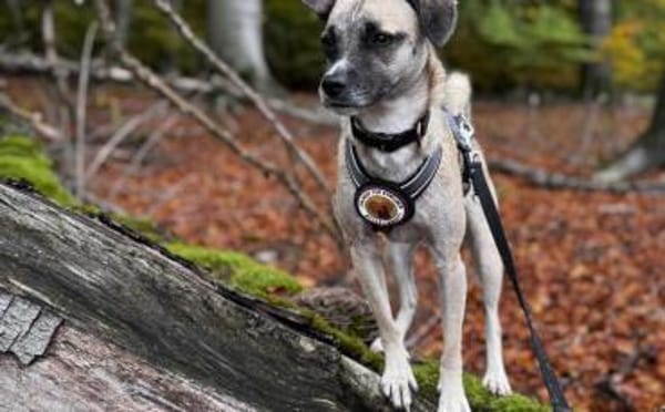 Payton sucht ihr perfect match