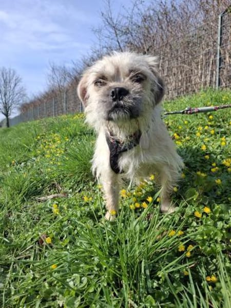 Kamilla in  45711 Datteln