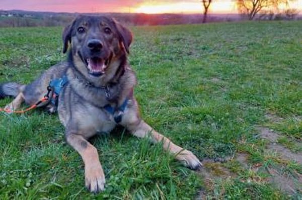 Kassandra sucht ihren Herzensmenschen