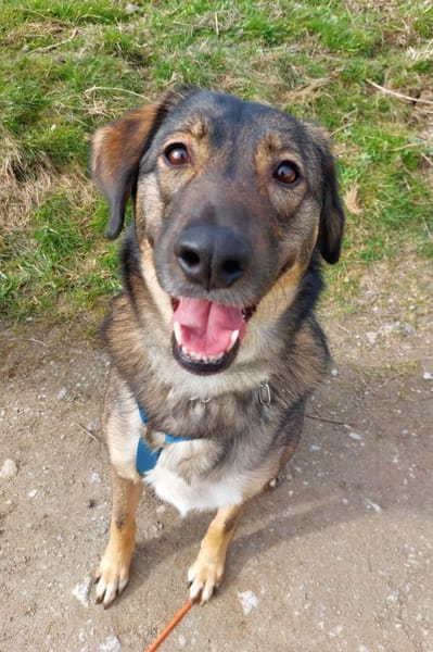 Kassandra sucht ihren Herzensmenschen