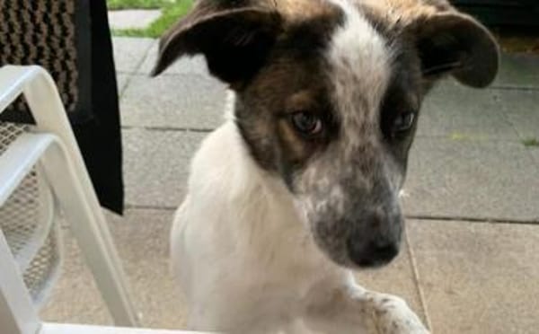 Helga ist bereit für ihr neues Leben