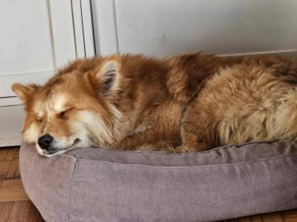 Süße Tayla🌺 sucht Kuschelflat