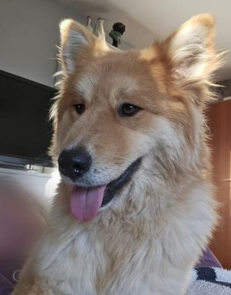 Süße Tayla🌺 sucht Kuschelflat