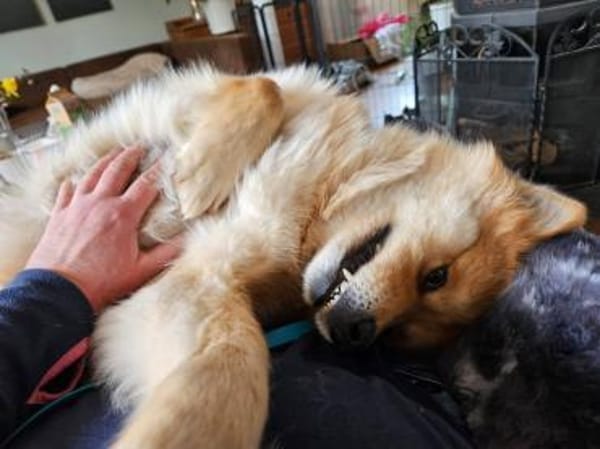 Süße Tayla🌺 sucht Kuschelflat