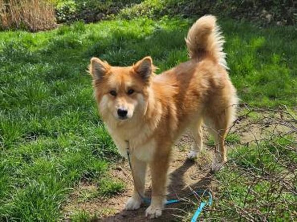 Süße Tayla🌺 sucht Kuschelflat