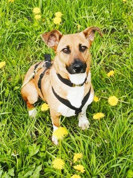 kleine, süße Katinka auf PS in 91353