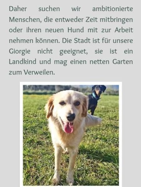 süß, süßer, Georgi 🥰