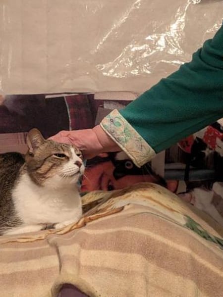 armer Knopf Miki in Essen (ALO)