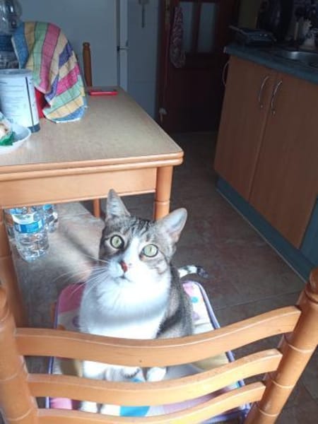 armer Knopf Miki in Essen (ALO)