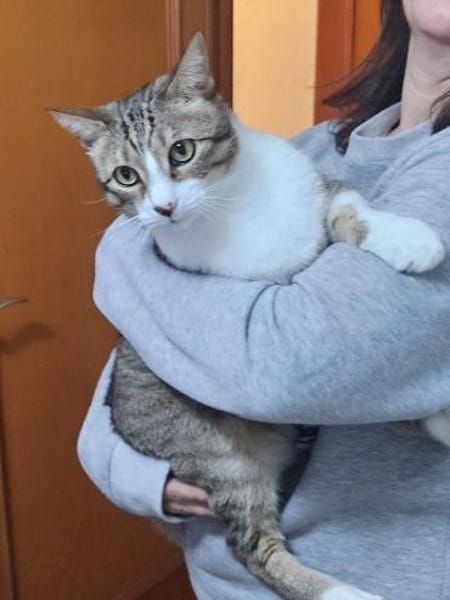 armer Knopf Miki in Essen (ALO)