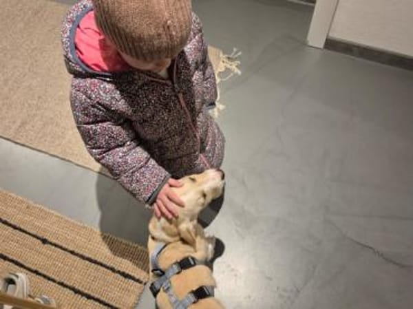 Geben Sie Aurelia eine Chance?