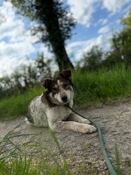 Olga