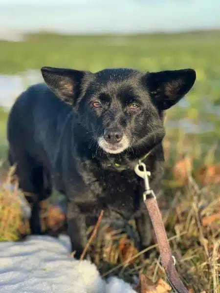ELENYA * in der Ruhe liegt die Kraft