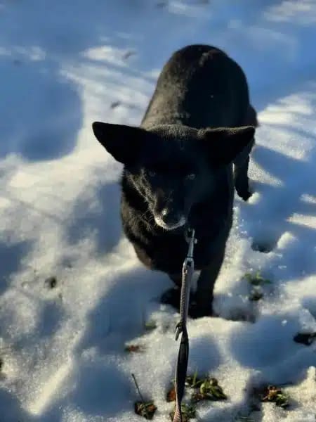 ELENYA * in der Ruhe liegt die Kraft