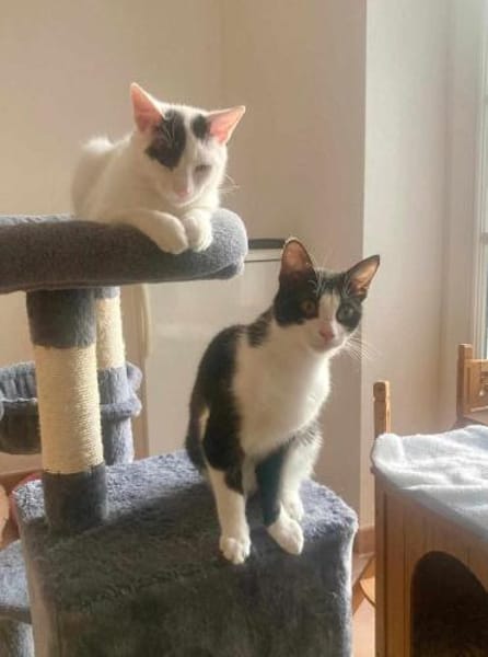 Penny und Pepe gemeinsam