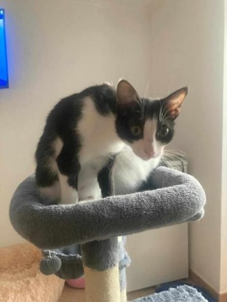 Penny und Pepe gemeinsam