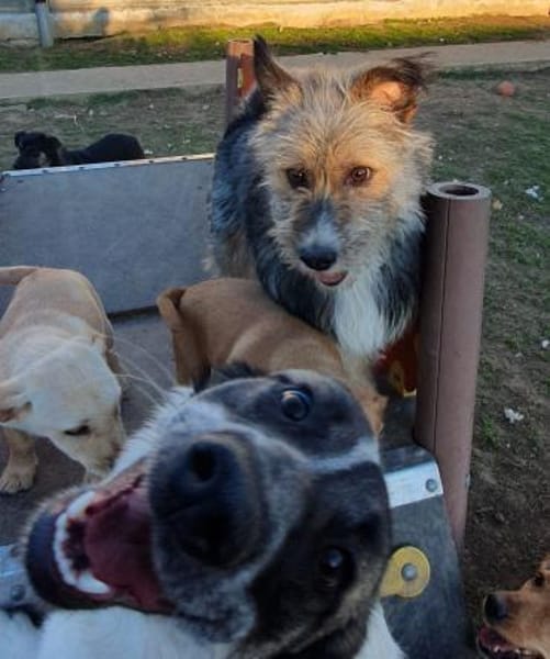 Kleiner Rocky sucht seinen Safe Place