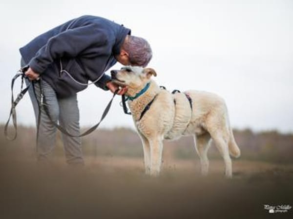 Tolomeo wünscht sich ein Zuhause