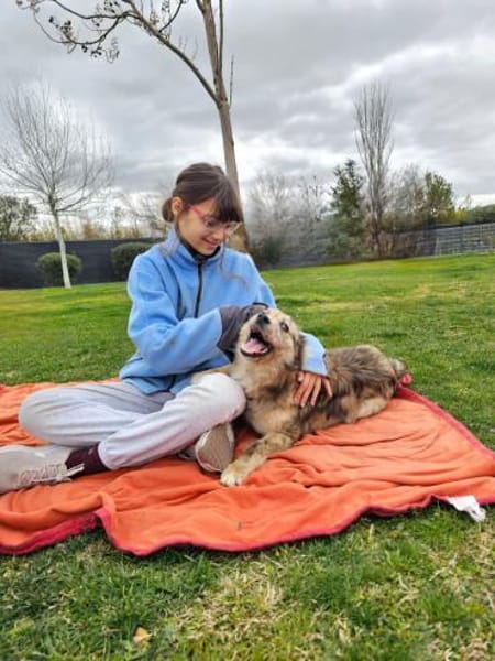 SOJA ❤ Border Collie Berger des Pyrénée