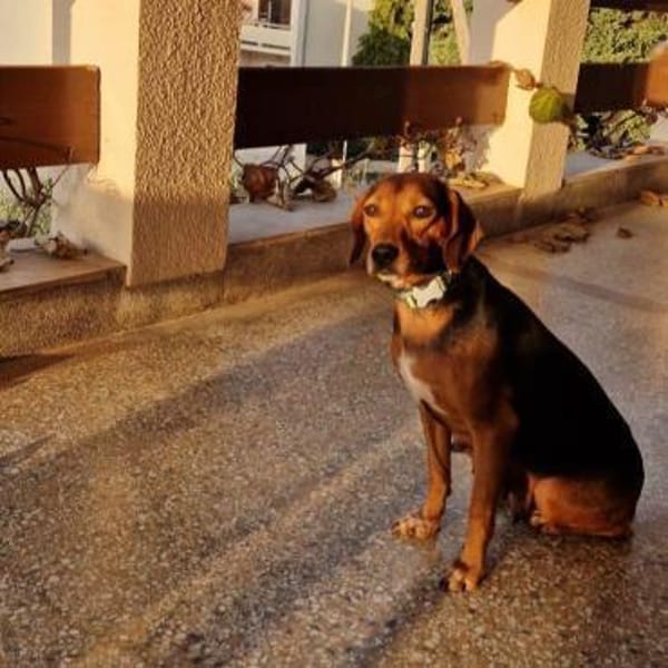 MARTA sucht ihre Familie ❤