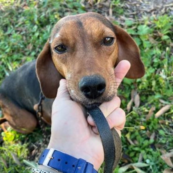 MARTA sucht ihre Familie ❤