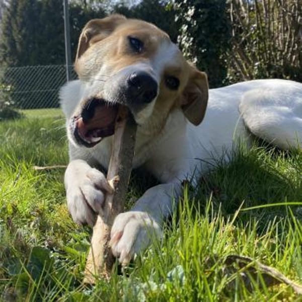 Ida💕wartet in 33104 Paderborn