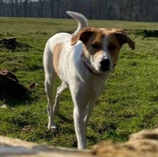 Ida💕wartet in 33104 Paderborn