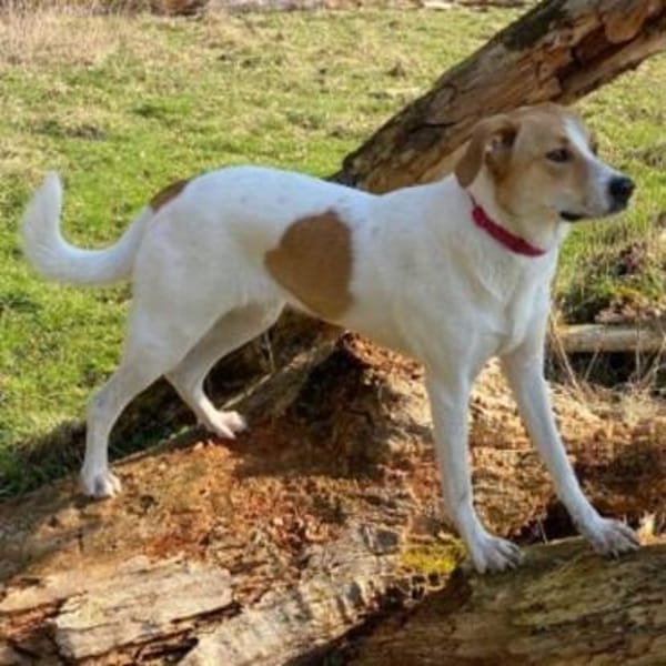 Ida💕wartet in 33104 Paderborn