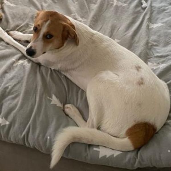 Ida💕wartet in 33104 Paderborn