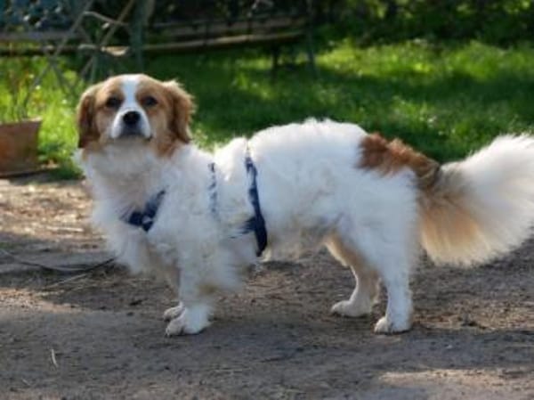 BOUNTY -freundlich & lebensfroh-