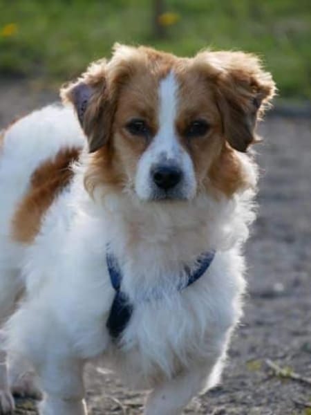 BOUNTY -freundlich & lebensfroh-