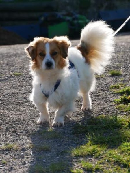 BOUNTY -freundlich & lebensfroh-