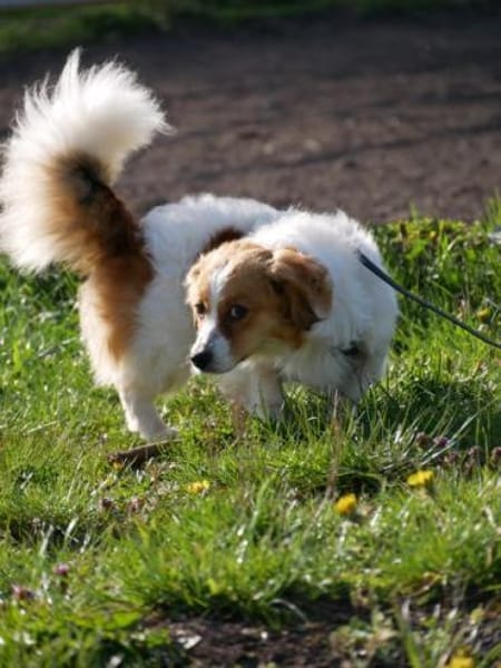 BOUNTY -freundlich & lebensfroh-