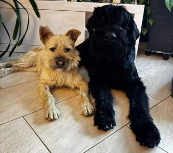 NETTI -kleine Strahlemaus-