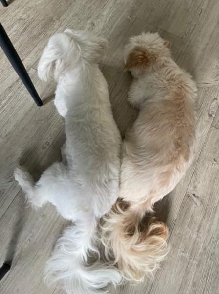 Angel💕kleiner Engel