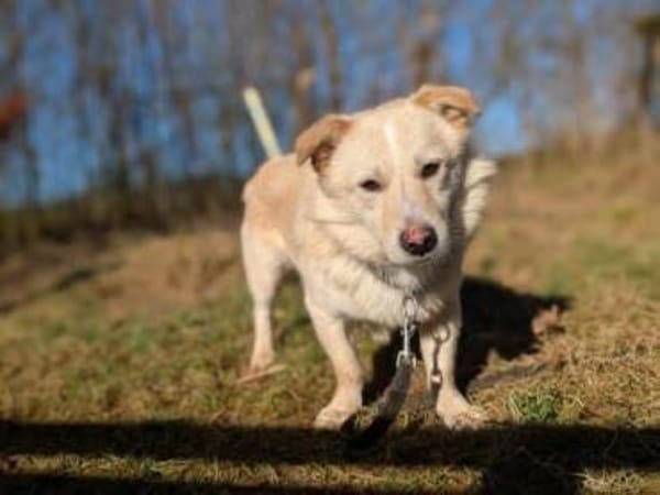 Filu, der kleine Eisbär 🐾