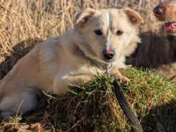 Filu, der kleine Eisbär 🐾