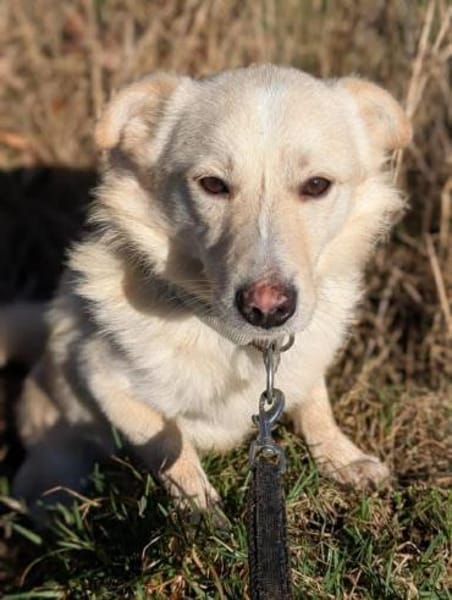 Filu, der kleine Eisbär 🐾