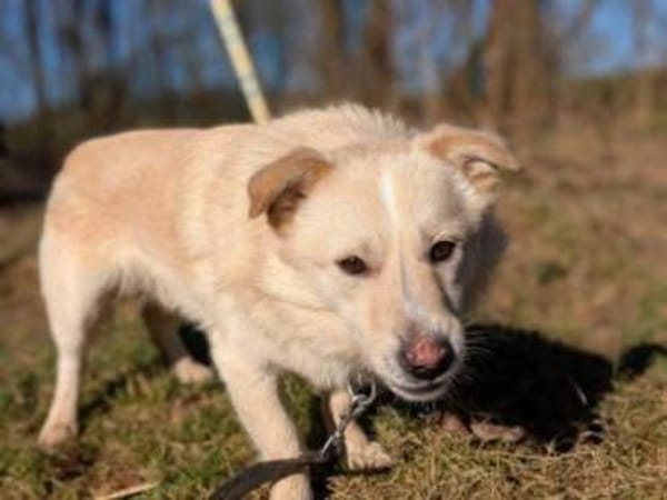 Filu, der kleine Eisbär 🐾